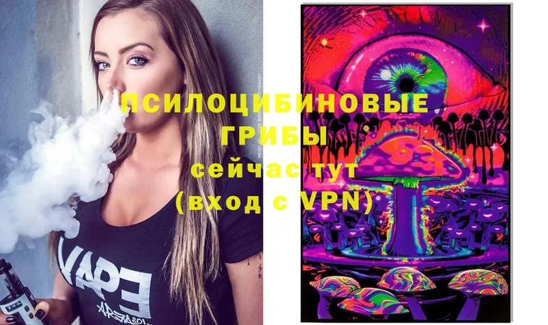 Псилоцибиновые грибы мицелий  Ступино 